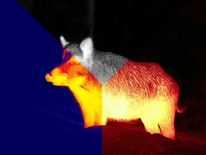 Color Modes for Every Condition — Spot Faster, Scan Smarter