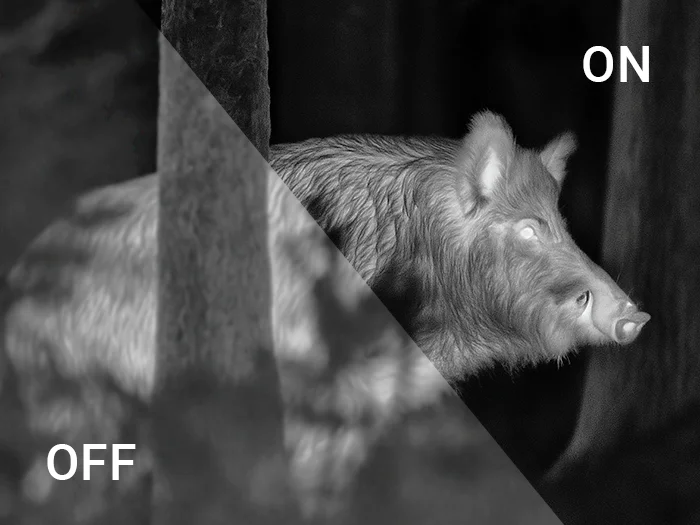 Wide Dynamic Range — Clearer Images in Every Scene