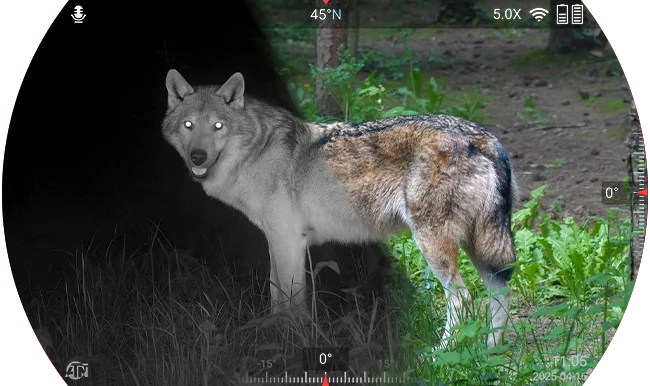 Day/ Night Viewing Modes