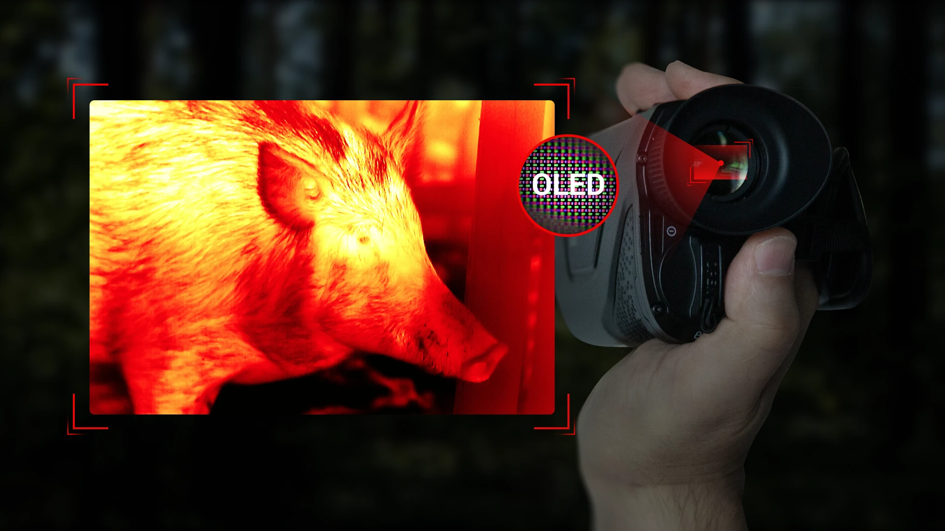 LARGE FULL-COLOR HIGH DEFINITION OLED DISPLAY