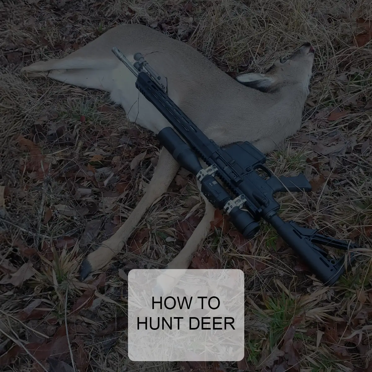 How to Hunt Deer: Tips and Techniques for a Successful Hunt