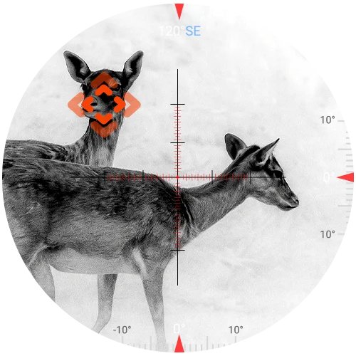 Thermal screenshot showing White Hot palette with Hot Point Tracking feature highlighting the warmest object in frame