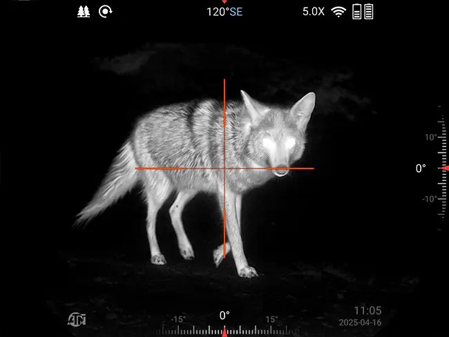 Thermal scope screen view of a coyote heat signature in white hot mode with on-screen compass and reticle