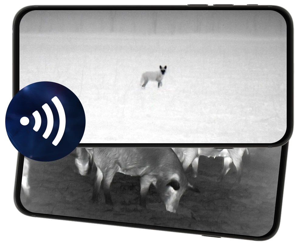 Smartphone displaying a live thermal video feed streamed from an ATN thermal device via the ATN Connect app