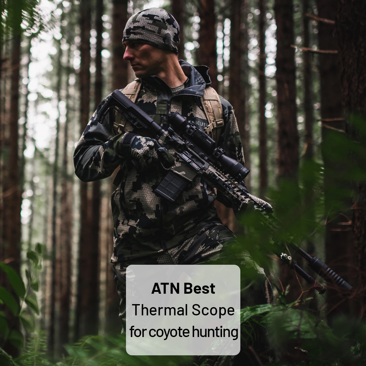 Best thermal scope for coyote hunting