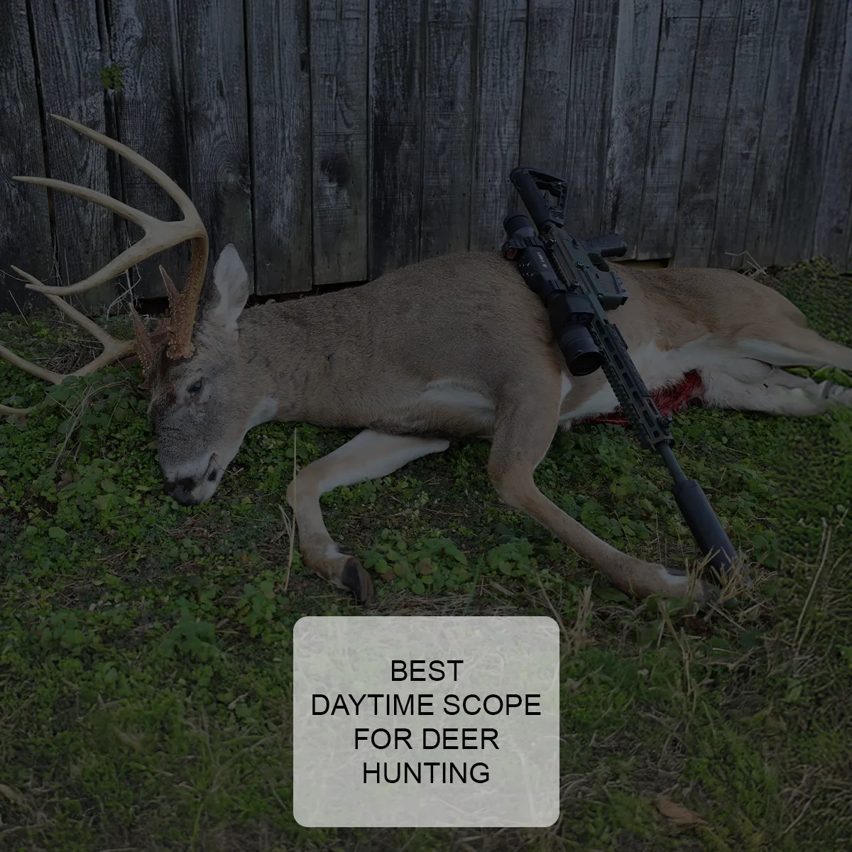 Best Daytime Scope for Deer Hunting: A Comprehensive Guide