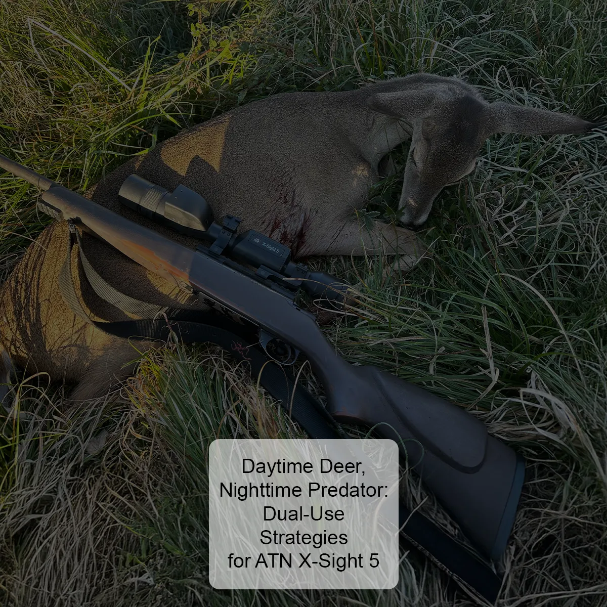 Daytime Deer, Nighttime Predator: Dual-Use Strategies for ATN X-Sight 5