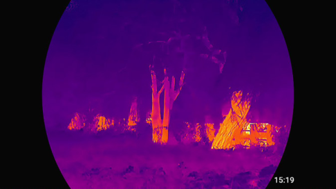 Thermal view through the ATN Binox 6 Dual showing a wooded treeline at night in a color thermal palette