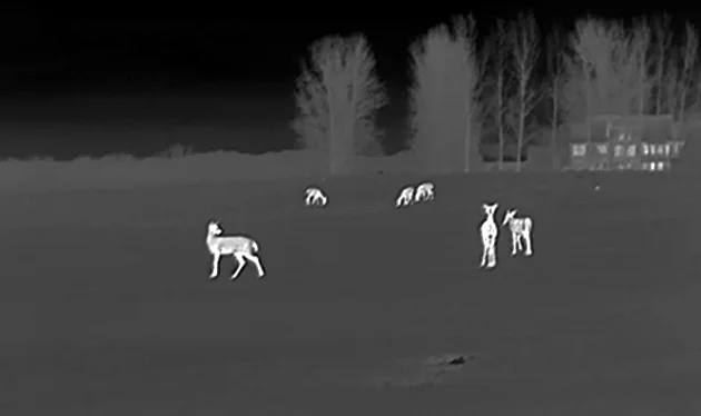 ATN BlazeHunter 650 LRF display modes