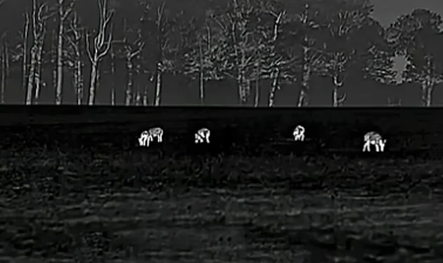 ATN BlazeHunter 635 LRF