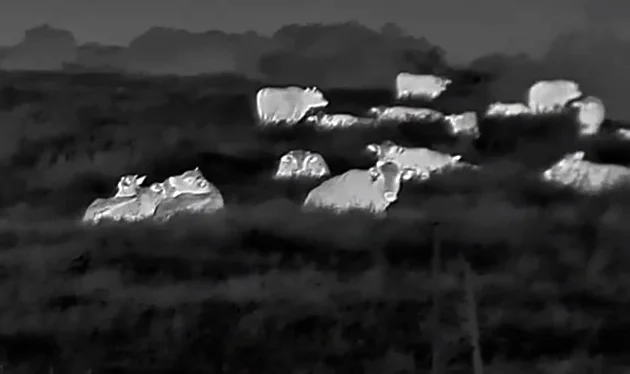 ATN BlazeTrek-625 Gen 6