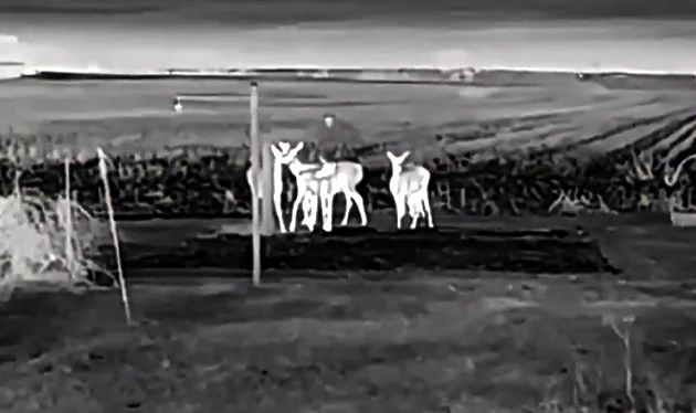 ATN BlazeSeeker-210 Gen 6