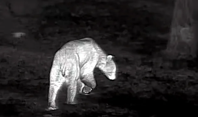 ATN BlazeHunter XD LRF