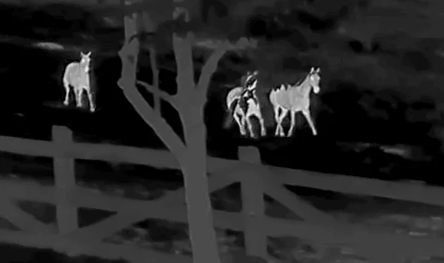 ATN BlazeTrek-319 Gen 6