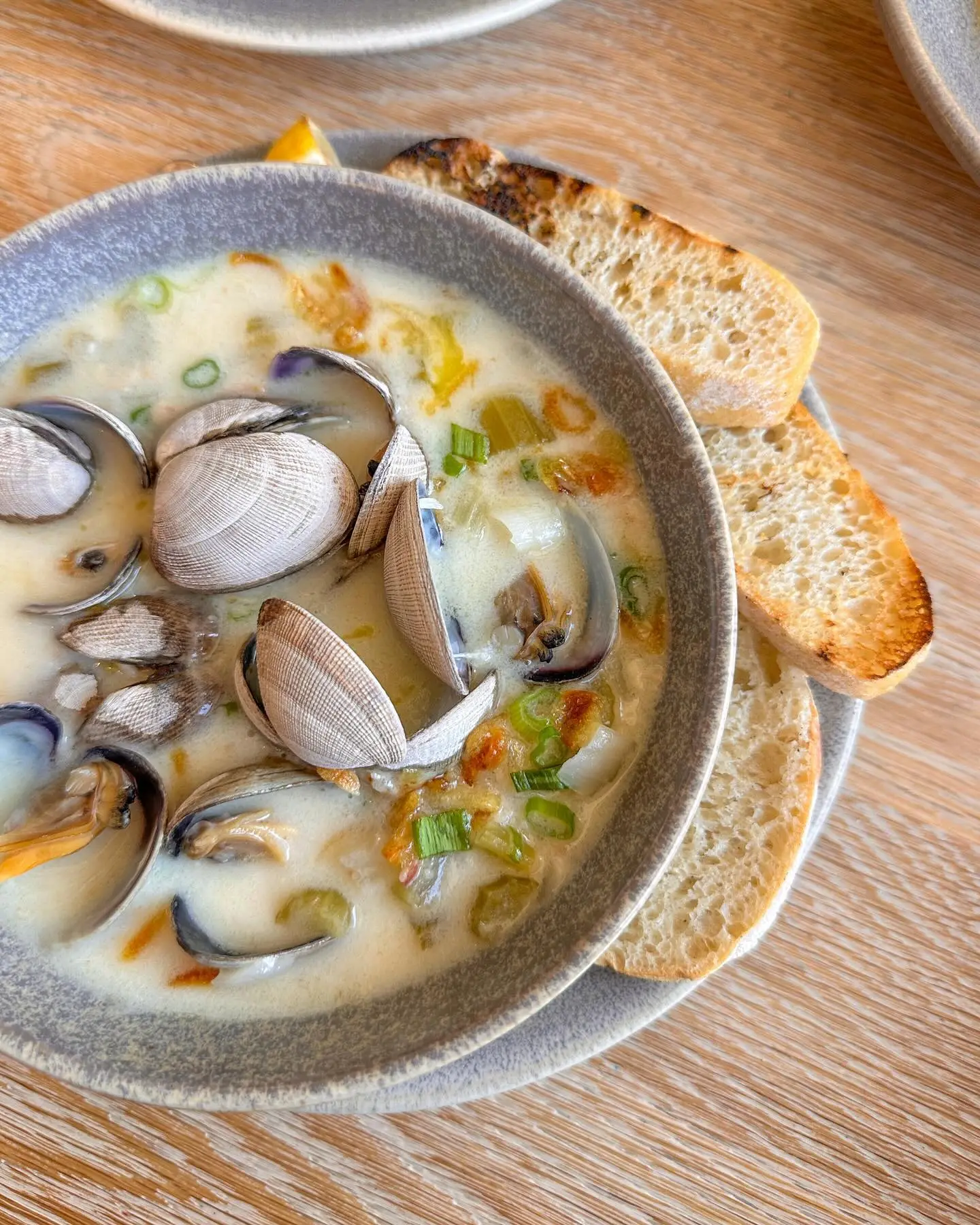 hog clam chowder