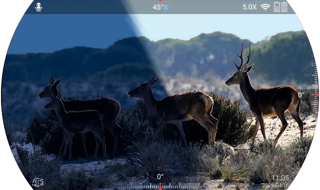 Scouting Deer with Thermal During the Rut: Mapping Night Movement with the ATN Binox-6 Dual