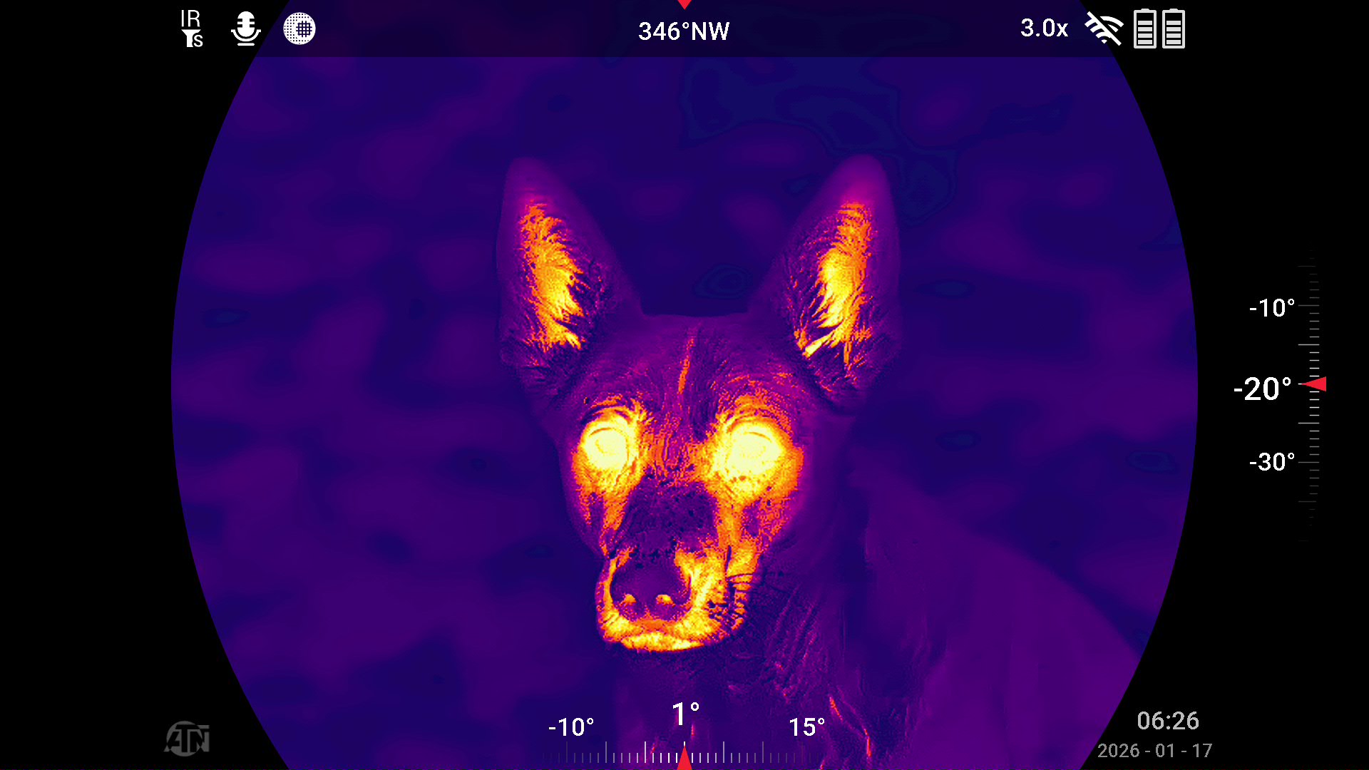 Thermal imaging view of an animal with bright heat signatures around the eyes, snout and ears framed by a device heads-up display showing a compass heading of 346 degrees northwest, 3.0x magnification and inclination angles
