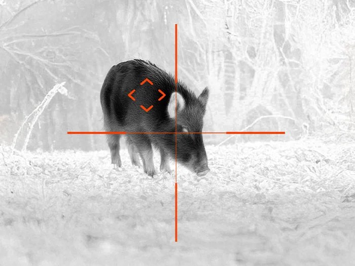 Upgrade ATN Thermal Scope to Generation 6: Is the ATN ThOR 6 640 Worth It?