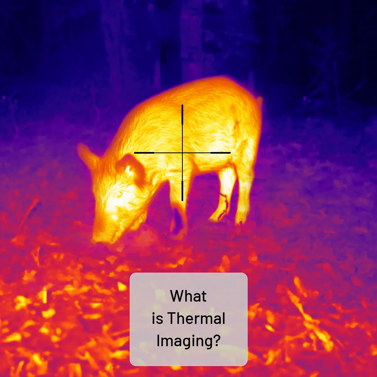 What is thermal imaging?