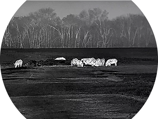 Thermal imaging view
