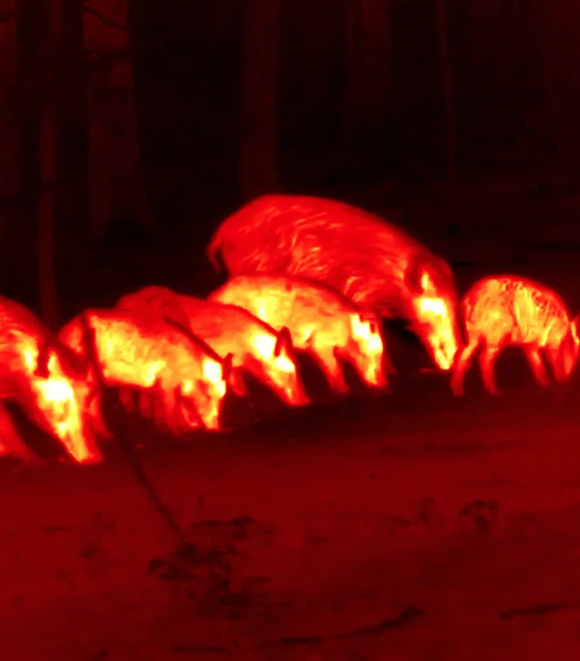 Thermal Imaging Category