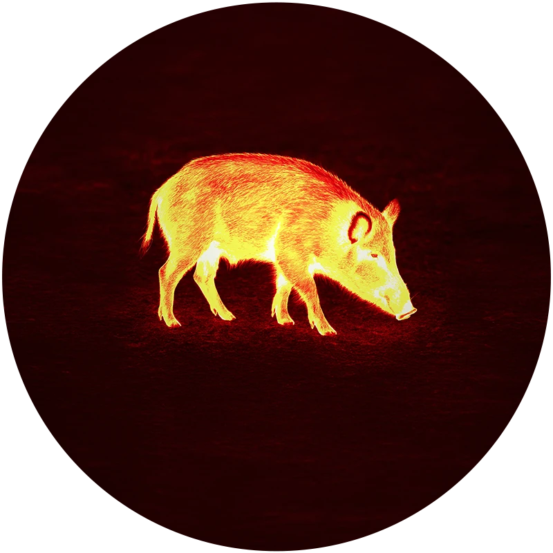 THERMAL IMAGING