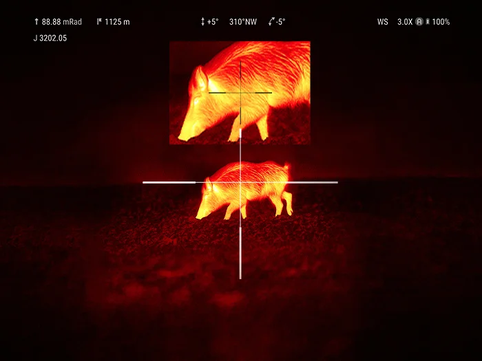 Picture-in-Picture (PIP) — Zoom With Precision
