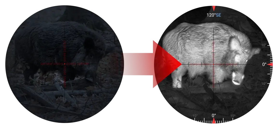 Seeing Beyond Darkness