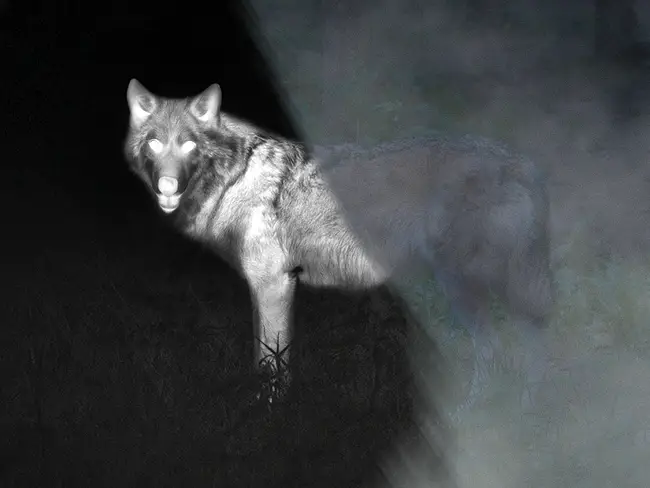 Hunting in Adverse Conditions