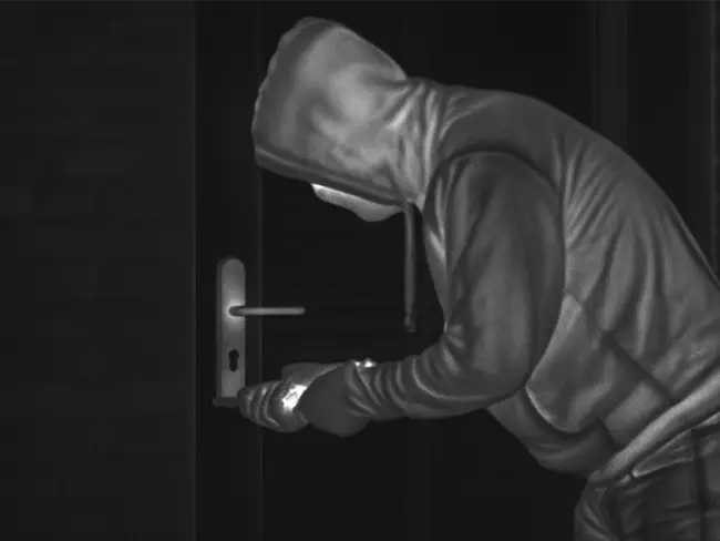 Home & Perimeter
							Security