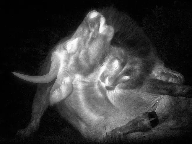 Conservation and Research Applications