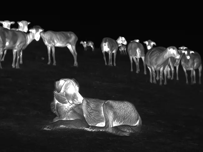 Property Protection and Farm Security