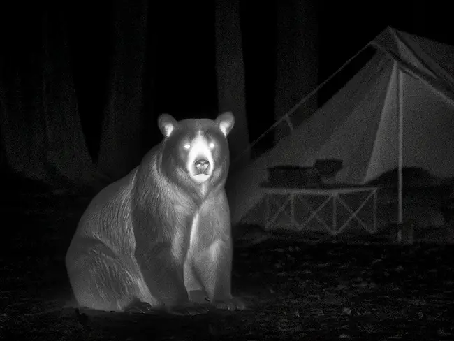 Camping & Outdoor Exploration