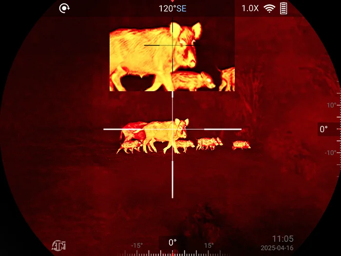 Picture-in-Picture (PIP) — Zoom With Precision