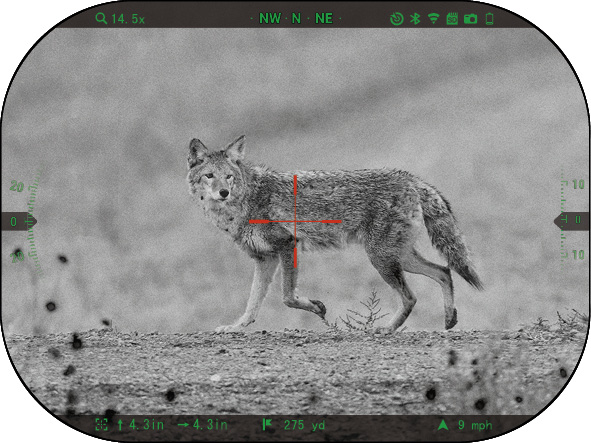 Night Vision